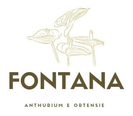 Fontana